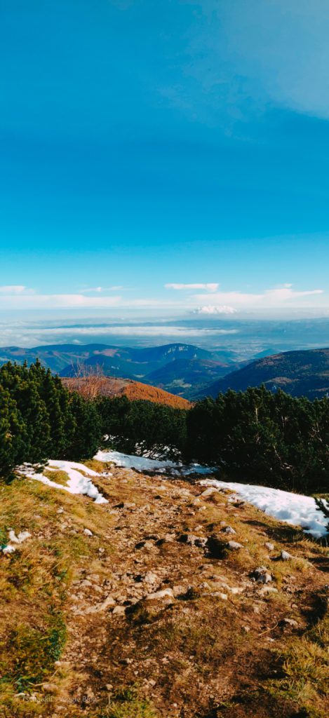 Schneeberg 2020 Abstieg von Hochschneeberg zur Mittelstation