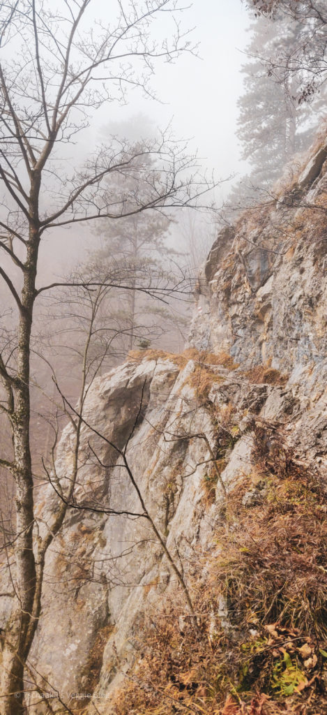 Mariensteig, Aufstieg Krummbachstein, von Reichenau