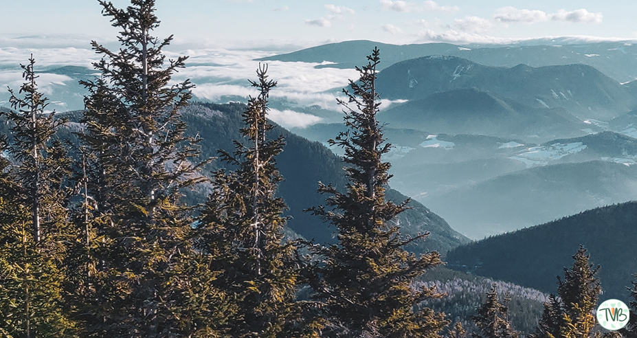 Krummbachstein (Rax-Schneeberg-Gruppe Niederösterreich) [1602m]