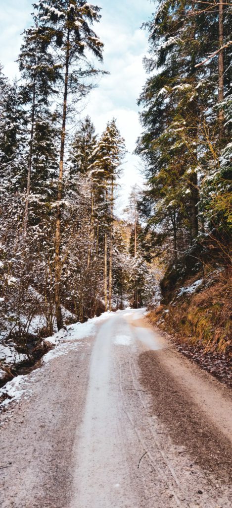 Wanderung, Österreich, Niederösterreich, Enzianhütte, Winter