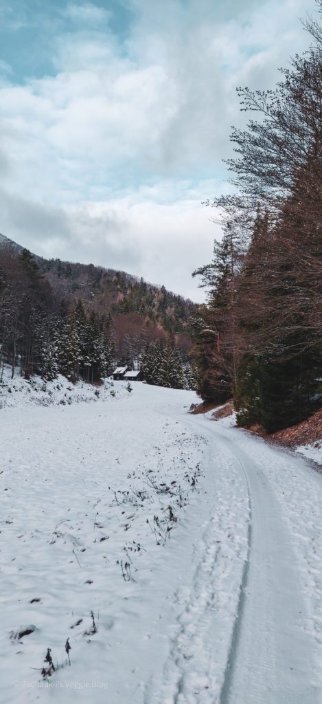 Wanderung, Österreich, Niederösterreich, Enzianhütte, Winter