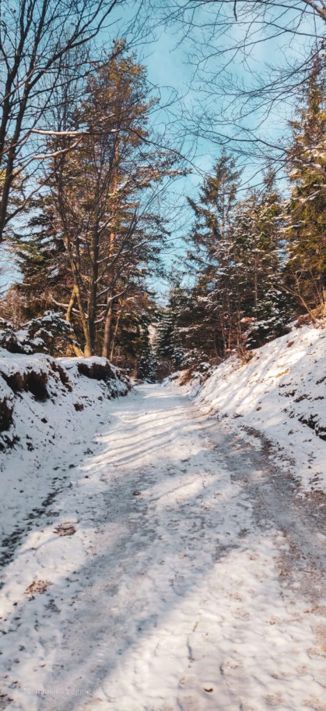 Wanderung, Österreich, Niederösterreich, Enzianhütte, Winter