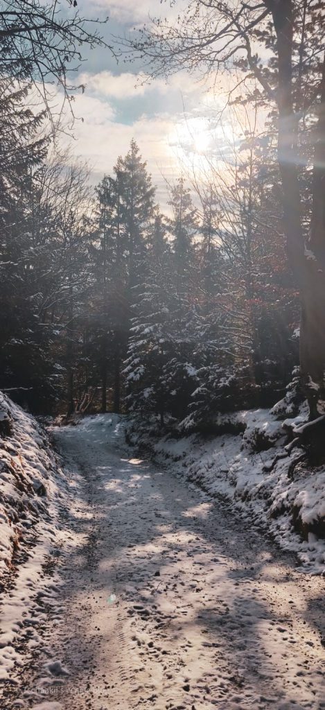 Wanderung, Österreich, Niederösterreich, Enzianhütte, Winter, Kieneck