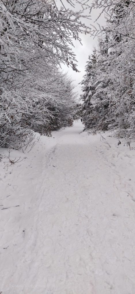 Abstieg über Enziansteig, Unterberg