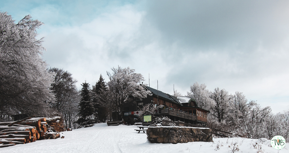 Kieneck – Enzianhütte – Gutensteiner Alpen (NÖ) [1107m]